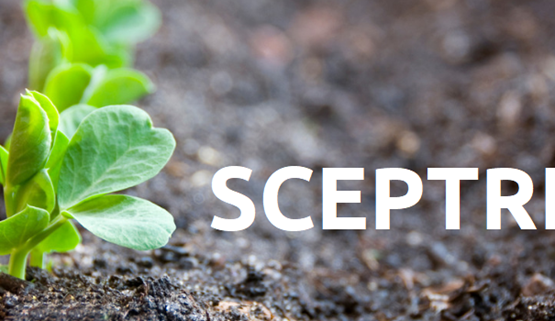 SCEPTREplus